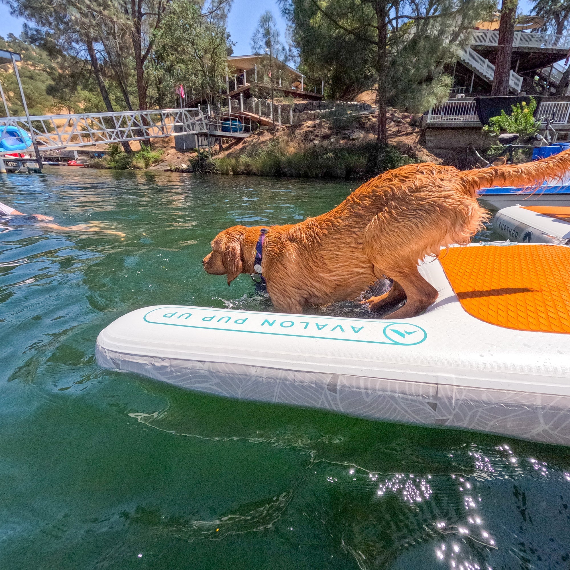 Further Customs Pup Up Inflatable Floating Dog Deck Puppy Ramp Boat Help Pet Step Ladder Lake PVC Big Large Doggy Water Float Safe
