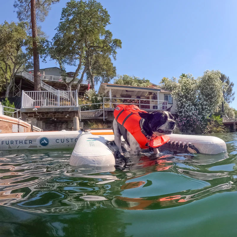 Avalon Pup Up - Dog Ramp & Dock